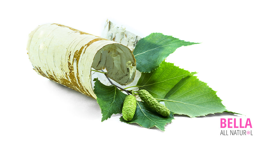 Does Birch Leaf Bark Extract Help with Arthritis Pain?
