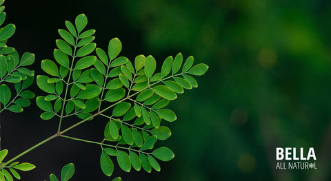 List of Foods That Are High in Essential Amino Acids