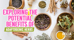 [Guide] Exploring the Potential Benefits of Adaptogenic Herbs