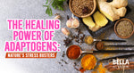 The Healing Power of Adaptogens: Nature's Stress Busters