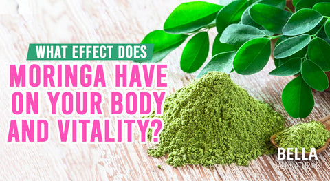 What Effect Does Moringa Have on Your Body and Vitality?